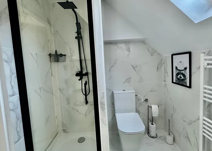 Agnes Apartment Brasov